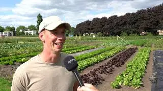 Bjorn Massop over Buitenplaats Park Ruimzicht: de beddenteelt
