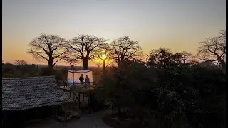 Experience Star Beds at Nomad Kigelia Tanzania | Luxury Safari Under the Stars