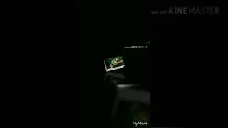 Frog-the anurans