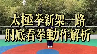 太極拳新架一路｜肘底看拳動作解析 Chen Style Xinjia Yilu Elbow Under Fist#太極拳 #陳氏太極拳 #太極拳新架一路 #肘底看拳#TaiChi