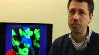 Fluorescent Coral Could Aid Cancer Research