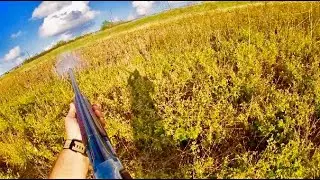 Dove Hunting The Rio Grande River