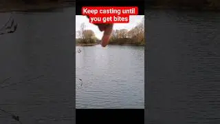 Keep casting until you locate Zander #fishing #zanderfishing #fishingtips