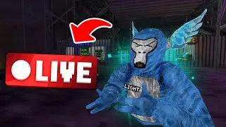 Gorilla Tag live Road to 1k | Join if you dare