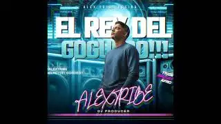 WORK VAMOS A BAILAR ( ALEX TRIBE TRIBAL )REMIX 2026