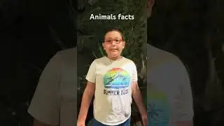 Facts about harmful animals #Wadia