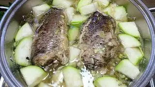 Canh Bầu Cá Rô-CÁ RÔ NẤU CANH BẦU món canh cho bữa cơm gia đình cách nấu đơn giản cá không tanh