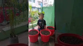 #plantation #indoorplants #vlog #dehradunvlogger #rajasthaniboy