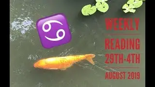 Cancer Weekly Tarot Reading 29th-4th August 2019 !!