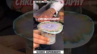 paper chromatography | detect duplicate signature #physics #experiment #shorts