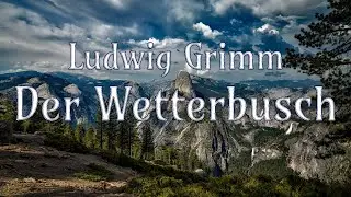 Der Wetterbusch - Ludwig Grimm - Märchen - Hörbuch