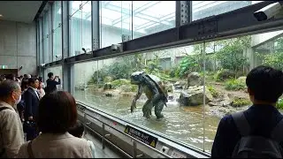 日本の神秘的な生き物たちを保護する保護区の内部に隠された謎を探る