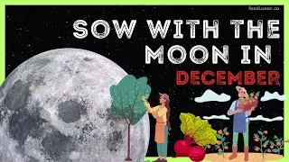 December Lunar Planting & Gardening Calendar 🌱🌿 Sow with the Moon in December