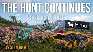 The Haggis Hunt Continues on Torr Nan Sithean! Call of the Wild Live