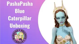 PashaPasha Blue Caterpillar Unboxing + ALL THE FEELS