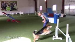 Orenius/Emanuelsson - Finn & Neela on a AWC 2016 inspired course