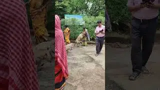 the monkey thief 😱😱,#shorts  #youtube  #viral  #thief  #monkey