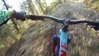 Downhill zur Almwirtschaft Sch&uuml;tt inkl. Absteiger