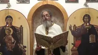 Pr. Dan Popovici – Cauze surprinzătoare ale bolilor
