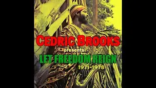 CEDRIC BROOKS with SKIN, FLESH & BONES - South African Reggae (1975)