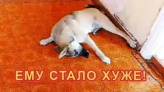 Всё оказалось гораздо хуже, чем казалось.