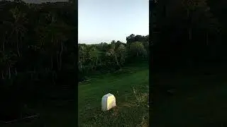 යනකොට තවත් ඇලක් හම්බ වුනා #viral #viralvideo #history #video #trendingshorts #trending #srilanka