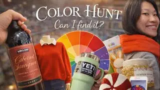 Color Hunt: Can I find it? | Game | Color Challenge |🎨🌈🎡