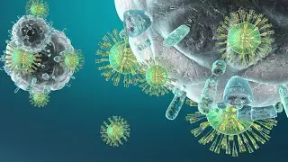COMPOUND MICROSCOPE:human granulocytes killing cancer cells lknowledge mantral abhisek swain