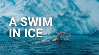 A swim in the ice - #Antarctica2020