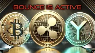 XRP: Вот и отскок!