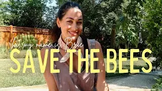 Спасите пчёл вместе со мной 🐝🌻 Экскурсия по саду Бри, дружелюбному к опылителям | Привет, меня зо...