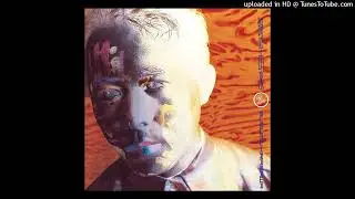 Susumu Hirasawa (平沢 進) - Skeleton Coast Kouen (スケルトン・コースト公園)