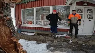 Huonokuntoisen koivun kaato rakennusten v&auml;liin