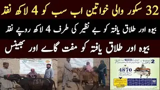 Bisp Cow Buffalo Program Online Apply
