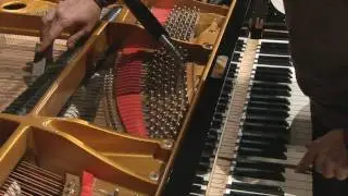 Il Signore del Pianoforte * Roberto Furcht