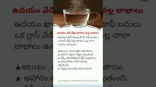 Benefits of Drinking Hot Water Daily | Stay Healthy Naturally