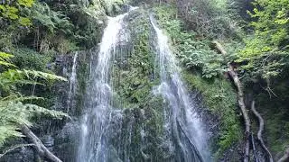 HIGHEST FALLING WATERFALL- 40 Meters (130ft) In 2 Drops | Dhoon Glen 🇮🇲 ISLE OF MAN tEAvEE