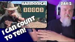 30 Day Harmonica Roast Challenge &ndash; Day 5 I Harmonica By The Numbers