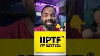 milte hai kal india international pet Trade fair me 🔥😍 #fish #iiptf #aquarium