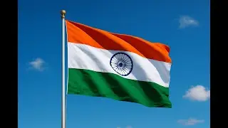 India Day Parade 2025 #india #perth #parade #unity #diversityandinclusion #hype 
