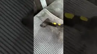 Sofa Steam Cleaning ASMR | Karcher SC