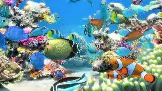 Dreamy, Sleepy Jazz Mix - Relax, be calm, meditate, study and sleep to the soft sounds of this mix.