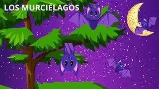 LOS MURCIÉLAGOS PARA NIÑOS/ TODO SOBRE LOS MURCIELAGOS/ EL MURCIÉLAGO EN ESPAÑOL