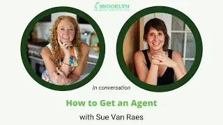 How to get an agent - a conversation with client Sue Van Raes