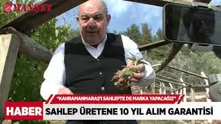 ‘MADO olarak sahlep üretene 10 yıl alım garantisi veriyorum’