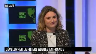 SMART IMPACT - D&eacute;velopper la fili&egrave;re des algues en France