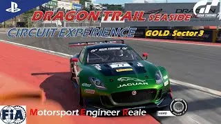 Gran Turismo 7 | Dragon Trail Seaside | Circuit Experience | Gold Sector 3