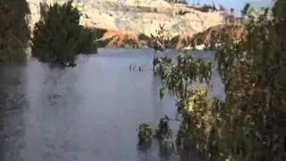 music from Deliverance (1972)