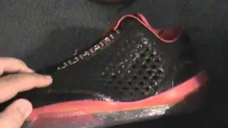 Air Jordan 2010 Team