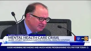 Report reveals gaps in Virginia&rsquo;s mental health system
